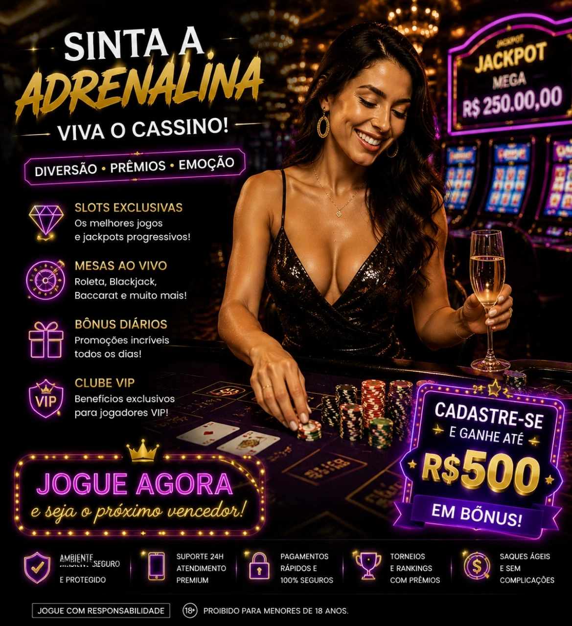 Programa VIP Wp2025